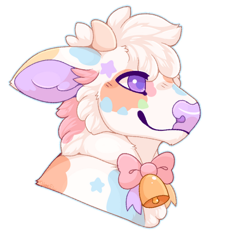 bust bust