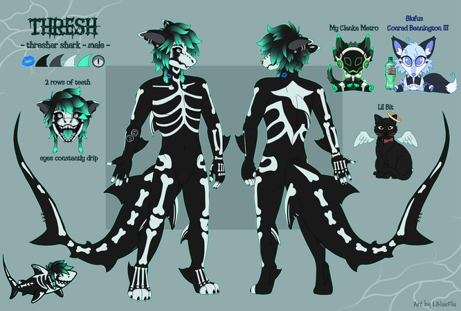 detailed-ref-anthro